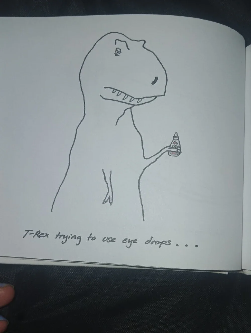 T-Rex Trying Hardcover Book By Hugh Murphy 2013